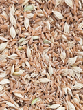 Khapli Whole Wheat Grains - Certified Organic by ECOCERT - Hetha Organics LLP