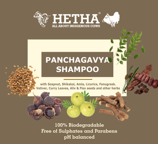 Panchagavya Shampoo - Hetha Organics LLP