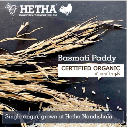 Basmati Paddy - Certified Organic - Hetha Organics LLP