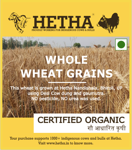 Whole Wheat Grains - Certified Organic by Ecocert - Hetha Organics LLP
