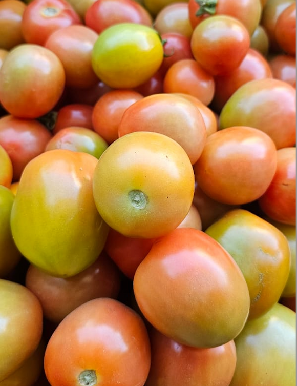 Organic Tomatoes
