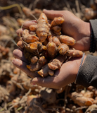 Himalayan Turmeric Powder