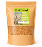 Khapli Whole Wheat Grains - Certified Organic by ECOCERT
