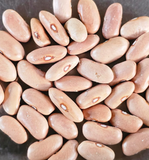 Himalayan White Rajma