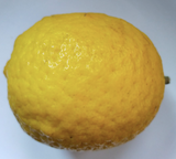 Himalayan organic Lemons - Large (Available in Delhi NCR only) - Hetha Organics