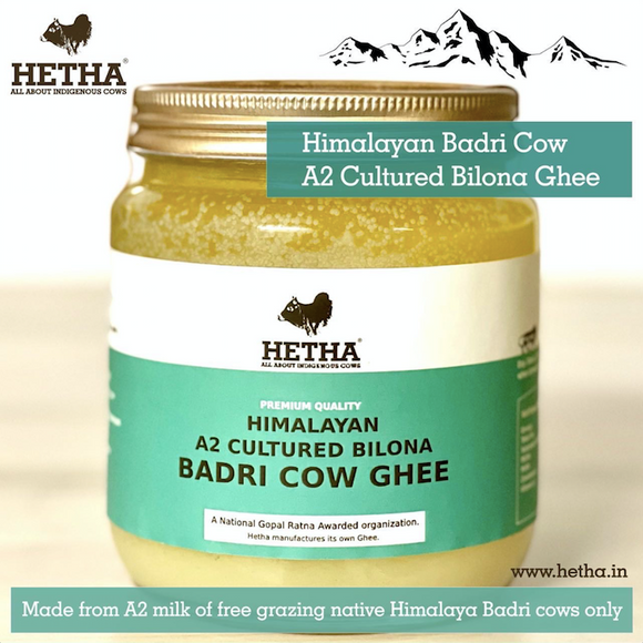 Himalayan Badri Cow A2 cultured Bilona Ghee / A2 Ghee - Hetha Organics