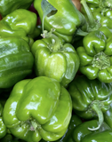 Organic Shimla Mirch / Capsicum - Hetha Organics